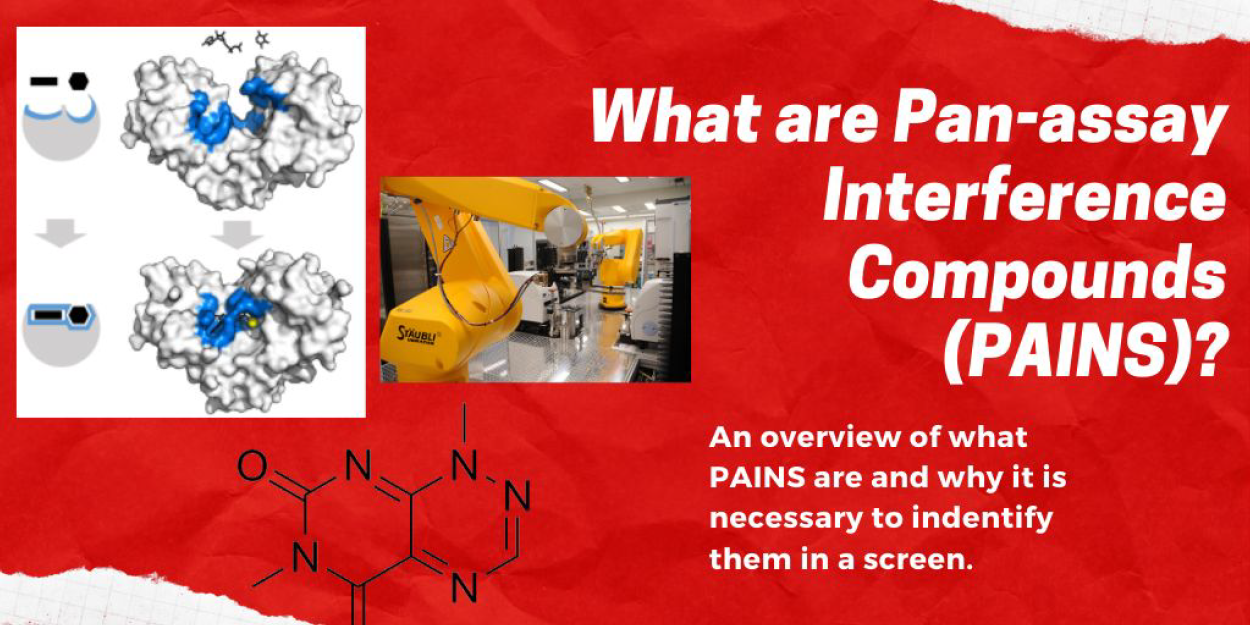 What are Pan-assay Interference Compounds (PAINS)?