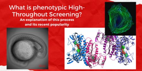 What is phenotypic High-Throughput Screening? 